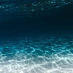 Meet your Posher, Midnight_sue